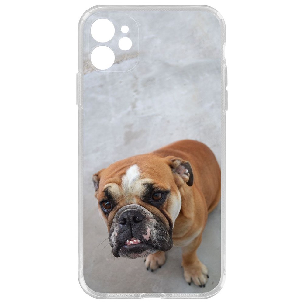 

Чехол-накладка Krutoff Clear Case Английский бульдог для iPhone 11 с защитой камеры, Прозрачный