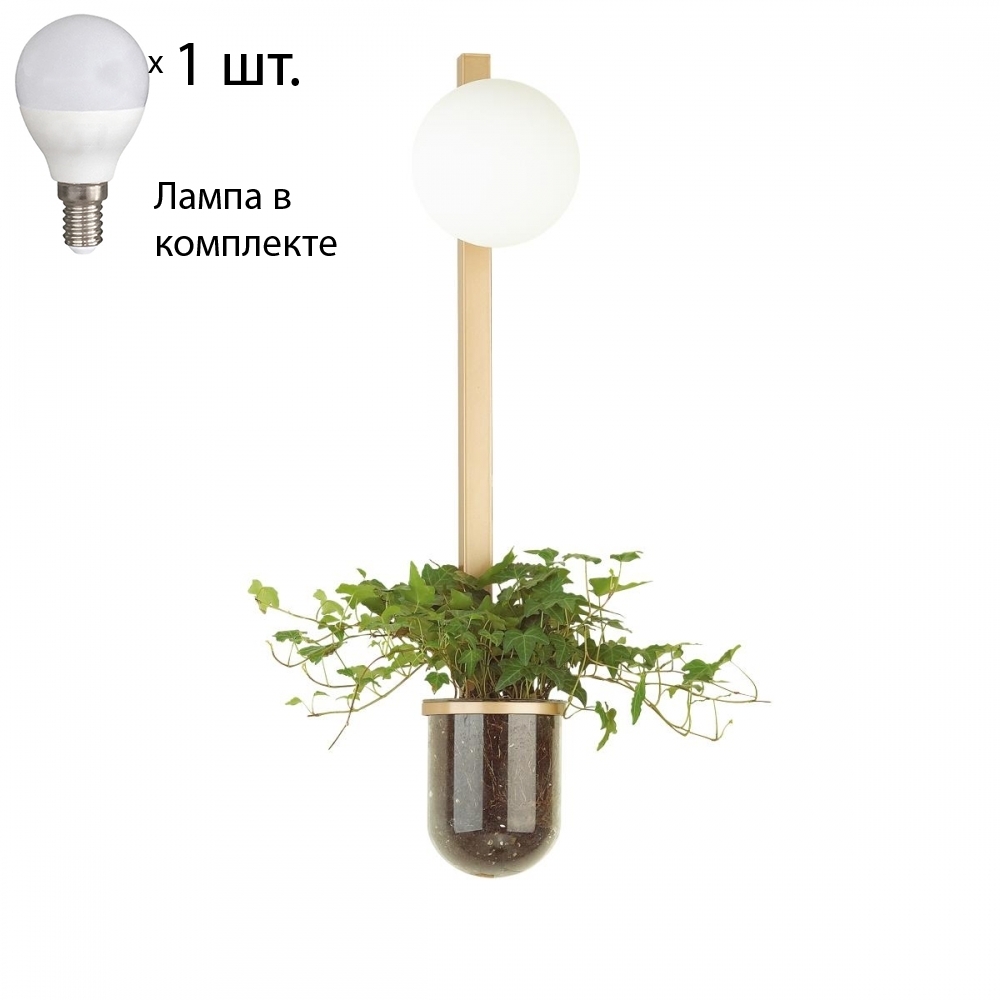 Бра с лампочкой Odeon Light Flower 4682/1WB+Lamps E14 P45