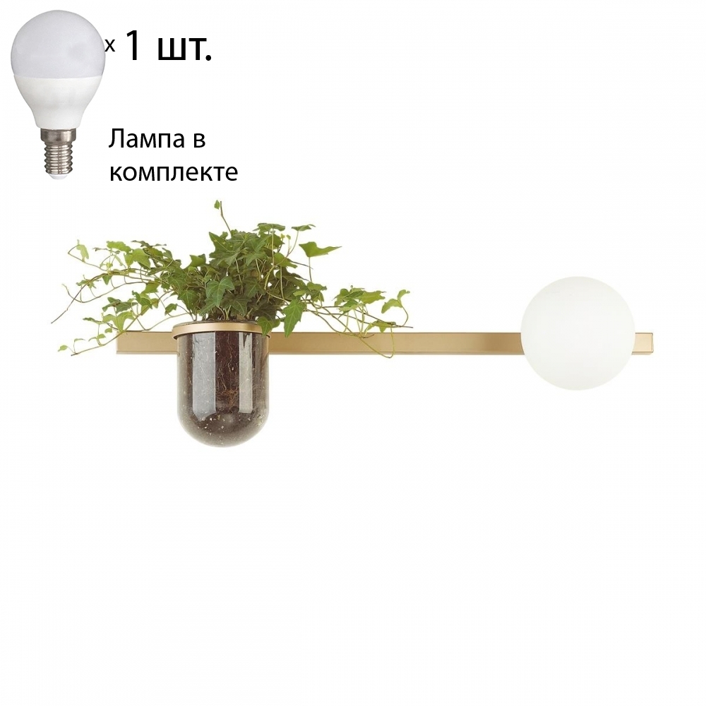 

Бра с лампочкой Odeon Light Flower 4682/1WA+Lamps E14 P45