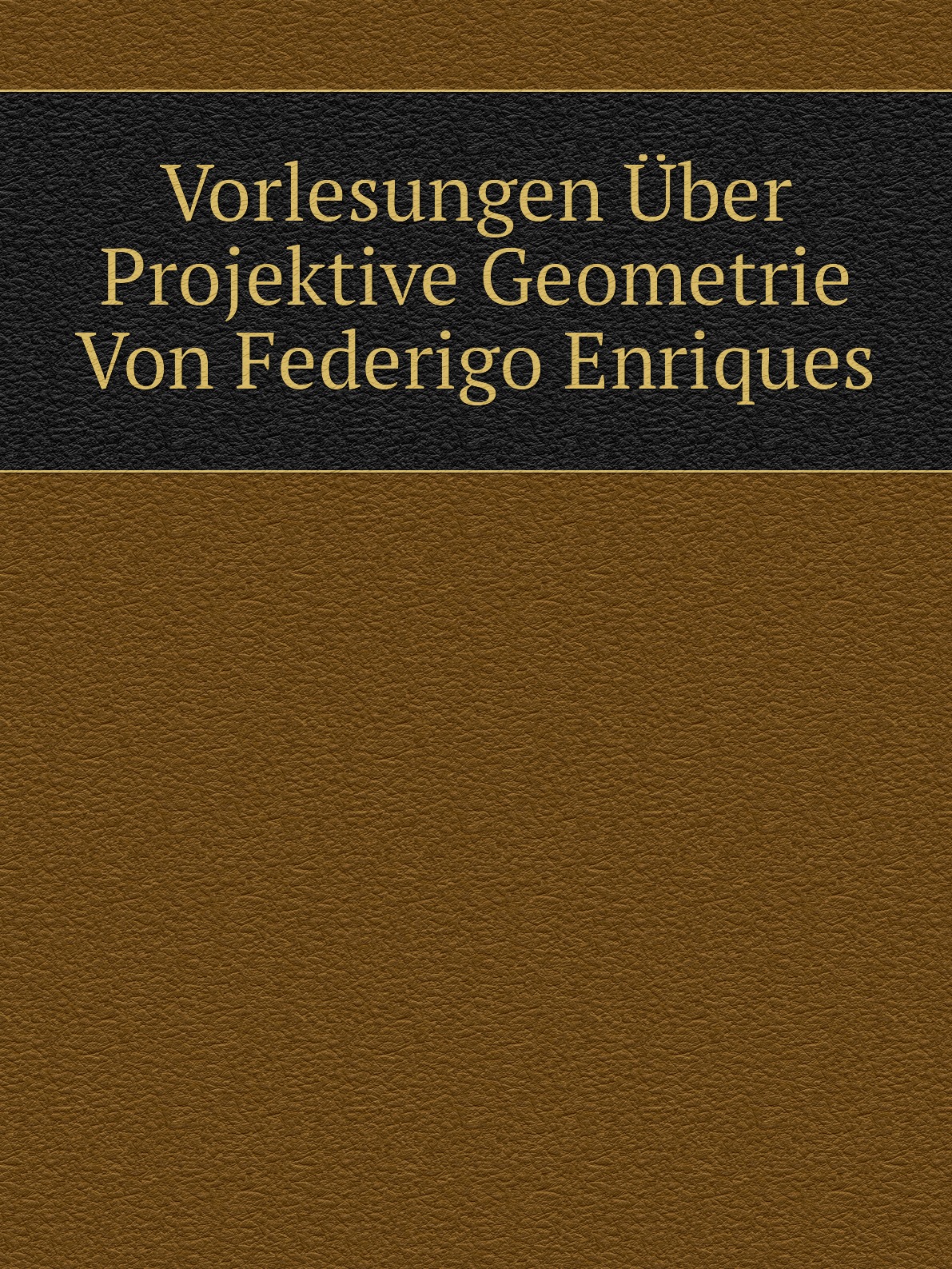 

Vorlesungen Uber Projektive Geometrie Von Federigo Enriques