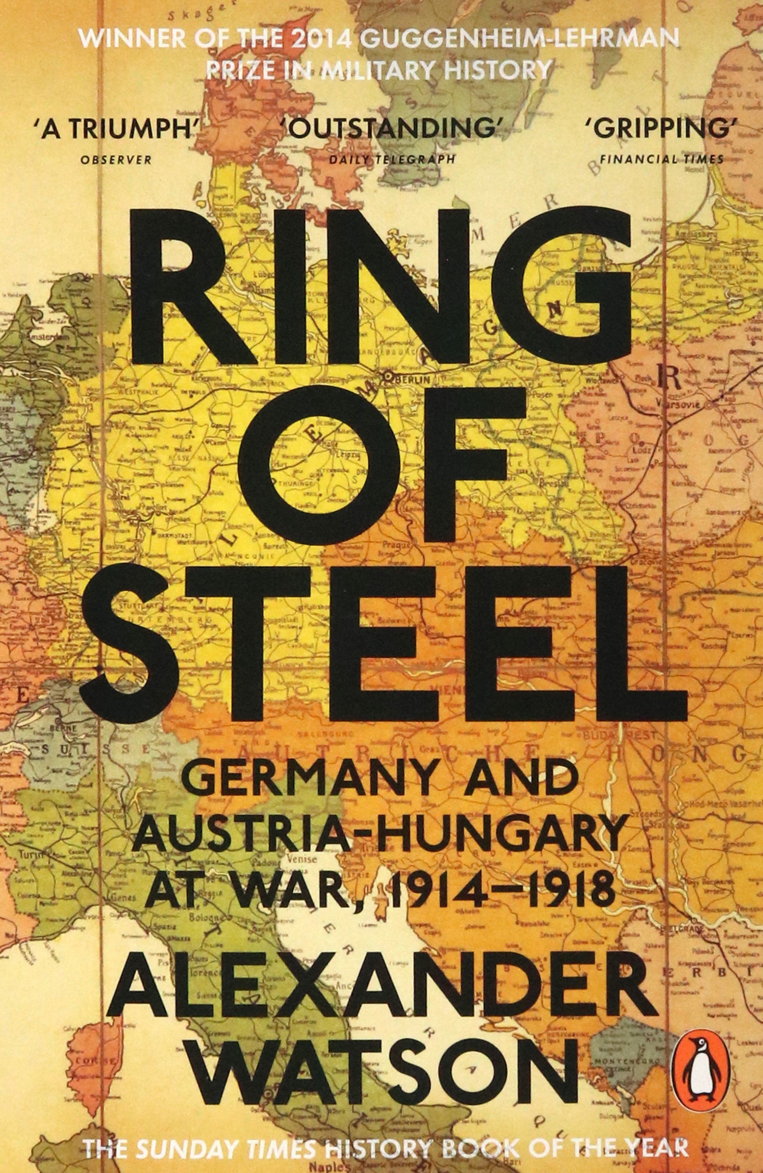 

Ring of Steel. Germany and Austria-Hungary at War, 1914-1918