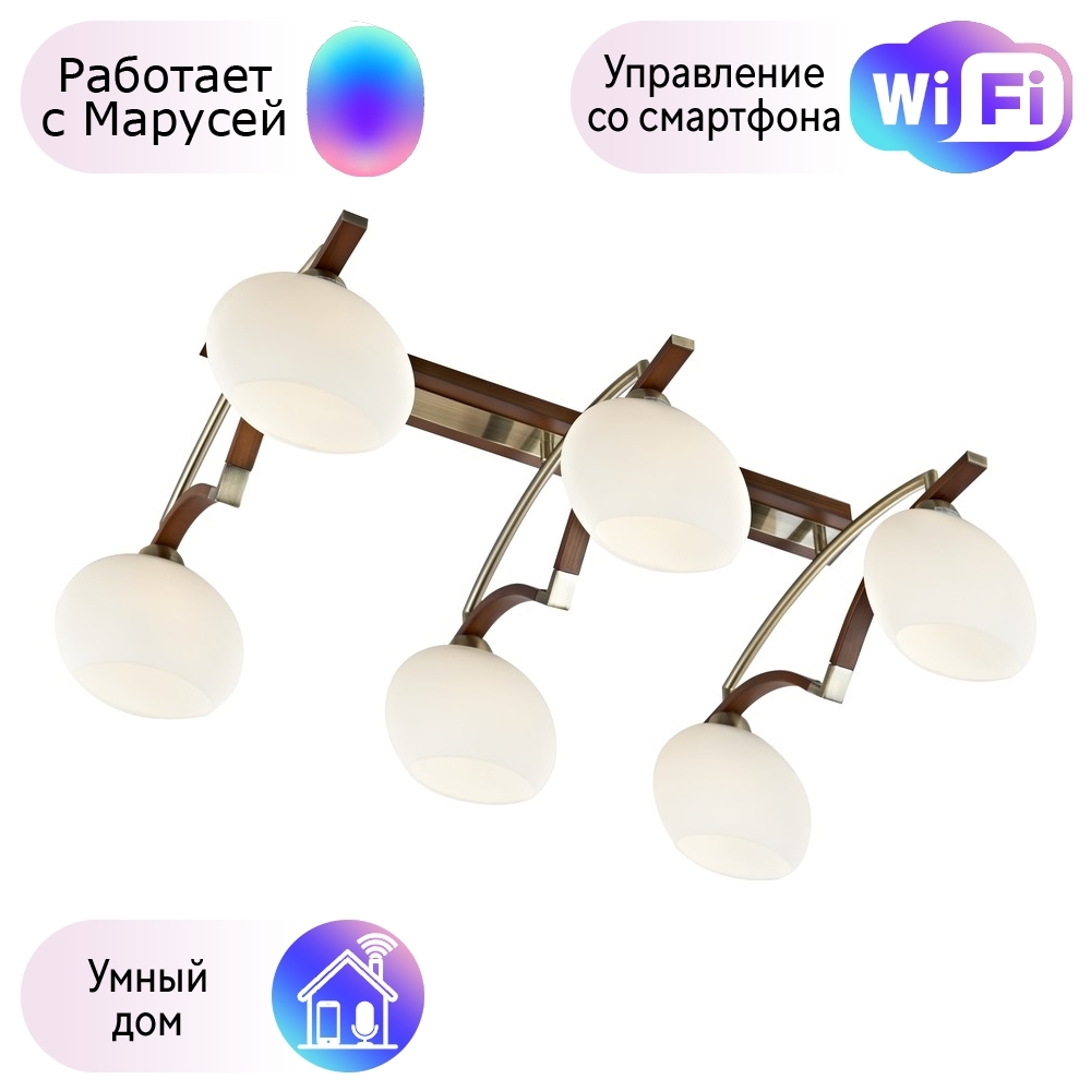 

Потолочная люстра Velante с поддержкой Маруся 269-527-06-М