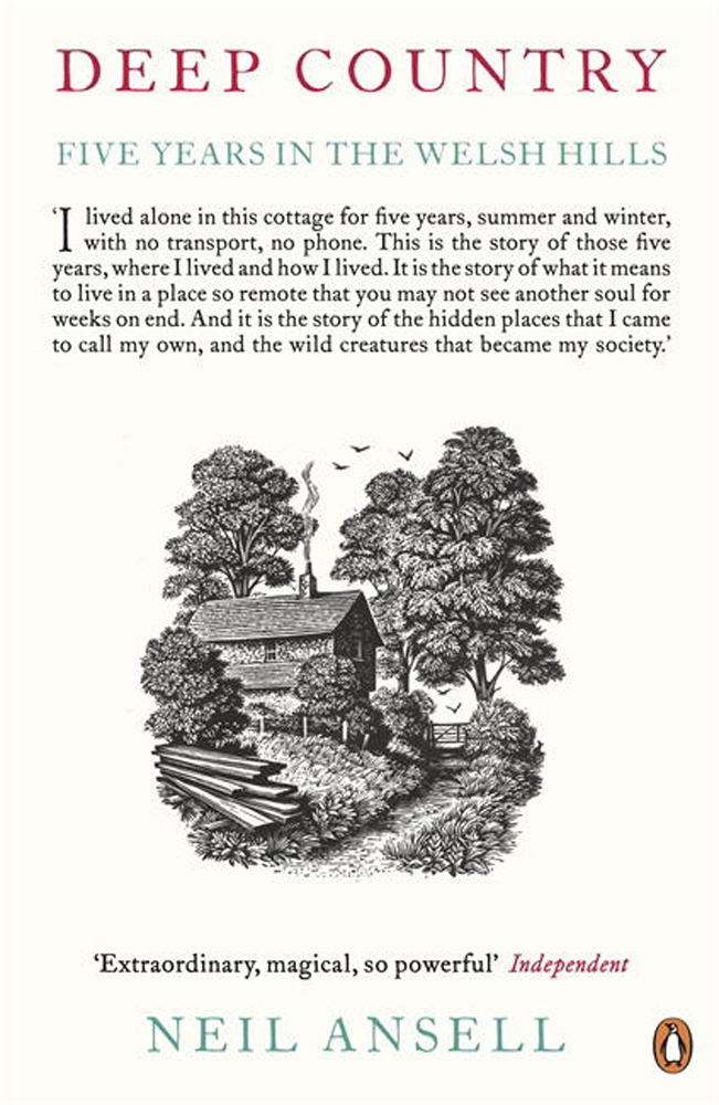 

Deep Country. Five Years in the Welsh Hills