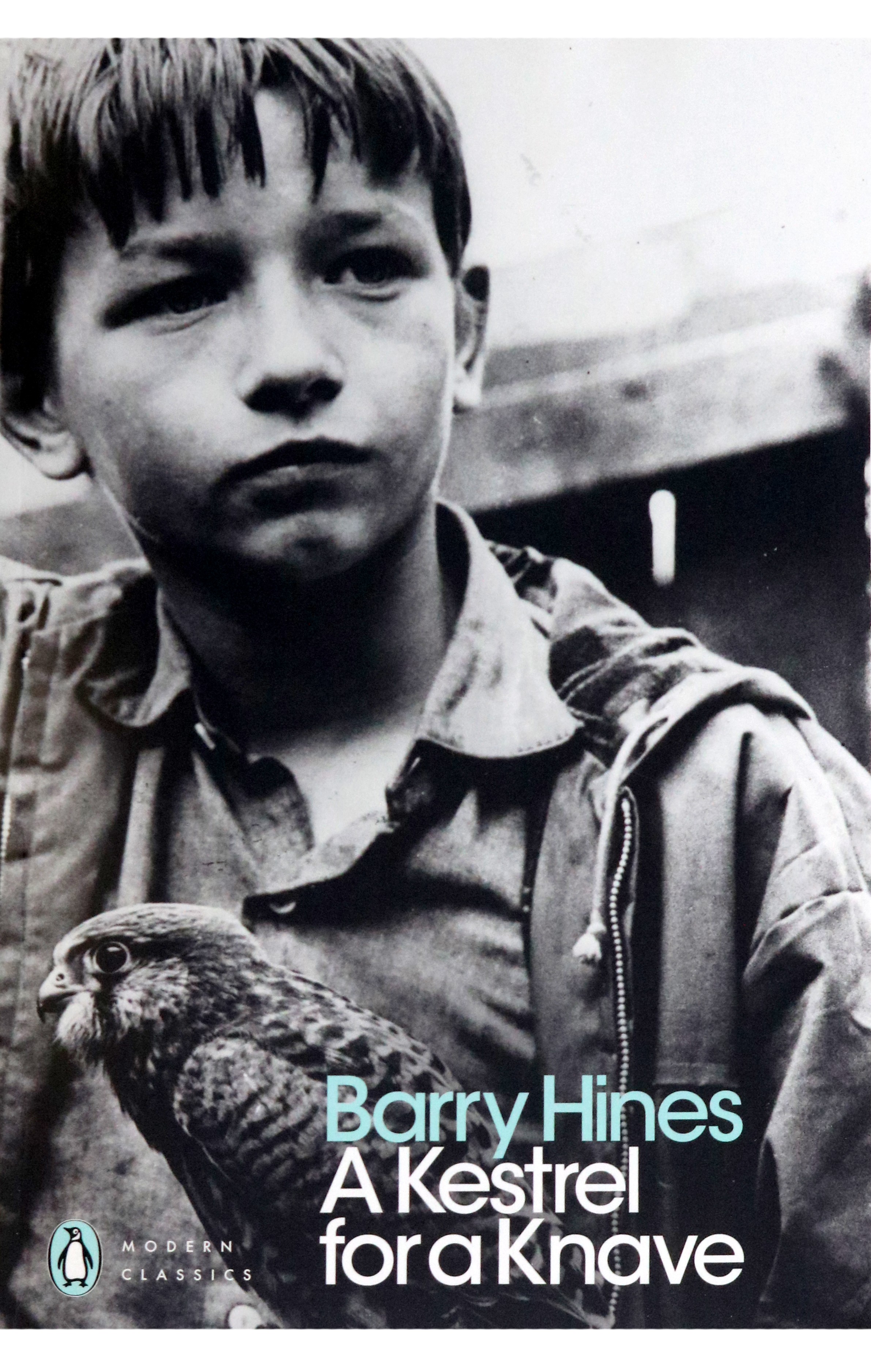 

A Kestrel for a Knave