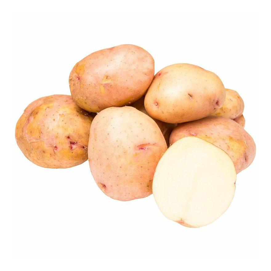 Картофель синеглазка купить. Картофель семенной Синеглазка. Сорт картофеля Синеглазка (Ганнибал). Сорт картофеля Синеглазка. Сорт картошки Синеглазка.