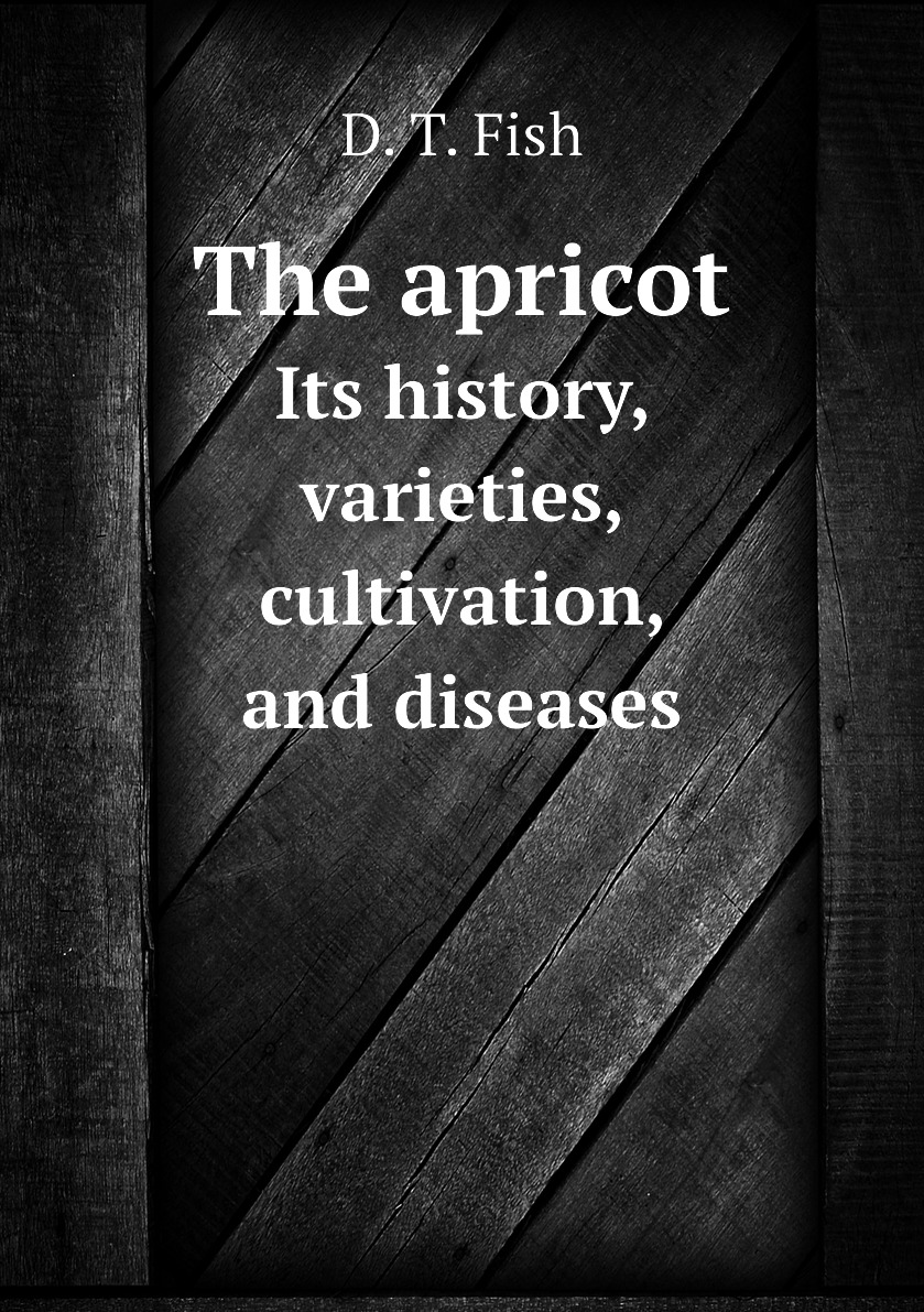 

The apricot