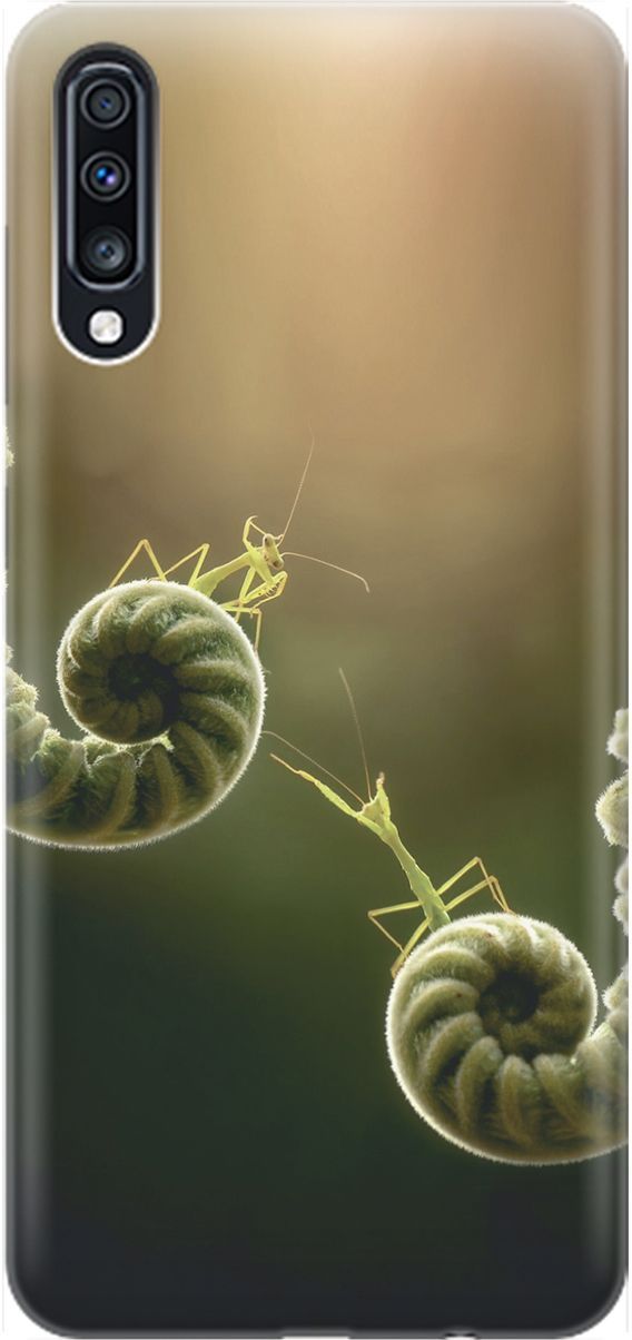 

Чехол на Samsung Galaxy A70/A70s с принтом "Пара богомолов", Бежевый;зеленый, 1545