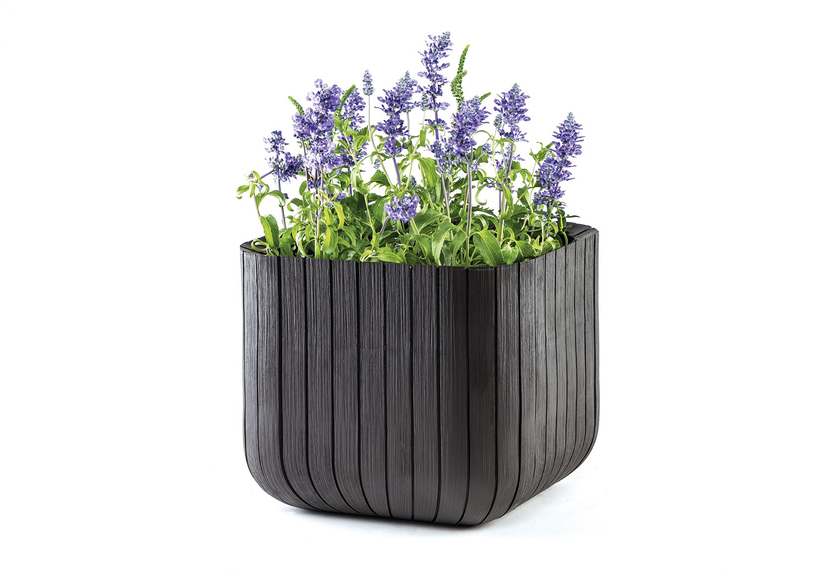 фото Кашпо keter куб м cube planter m