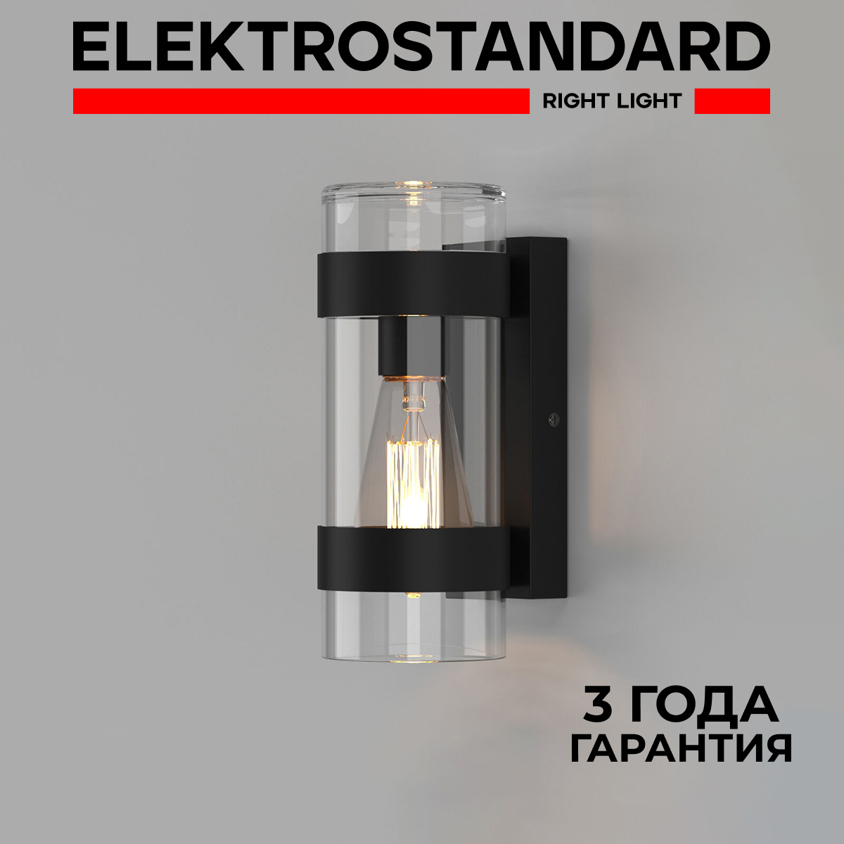 

Уличный настенный светильник Elektrostandard Falcon 35167/D черный E27 IP43, Falcon