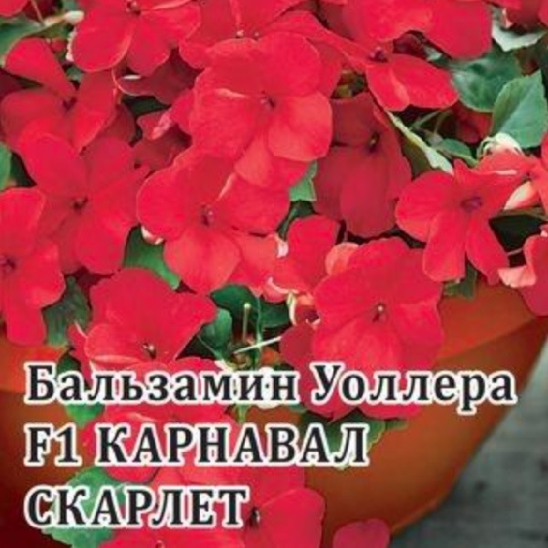 

Семена бальзамин Карнавал Скарлет F1 Гавриш 1071856802-1 1 уп.
