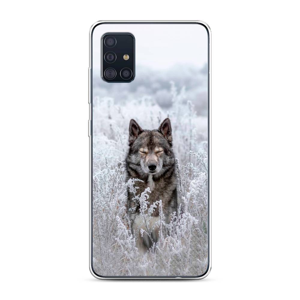 фото Чехол awog "волк в поле" для samsung galaxy a51
