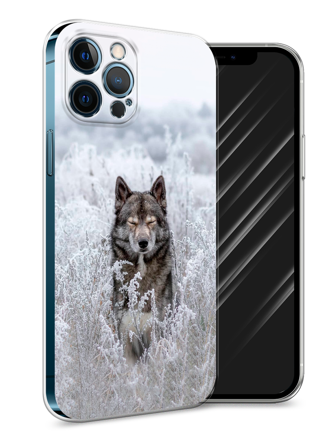 

Чехол Awog на Apple iPhone 12 Pro Max / Айфон 12 Pro Max "Волк в поле", Разноцветный, 12750-1