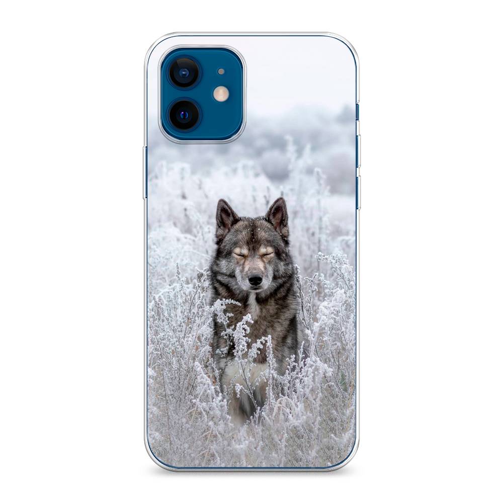 фото Чехол awog "волк в поле" для apple iphone 12 mini
