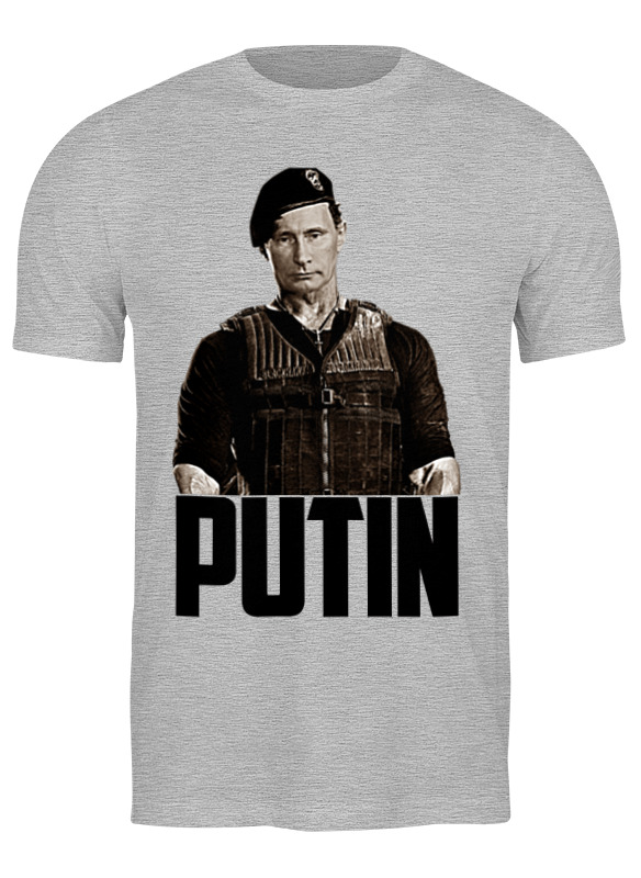 

Футболка мужская Printio Putin серая 3XL, Серый, Putin