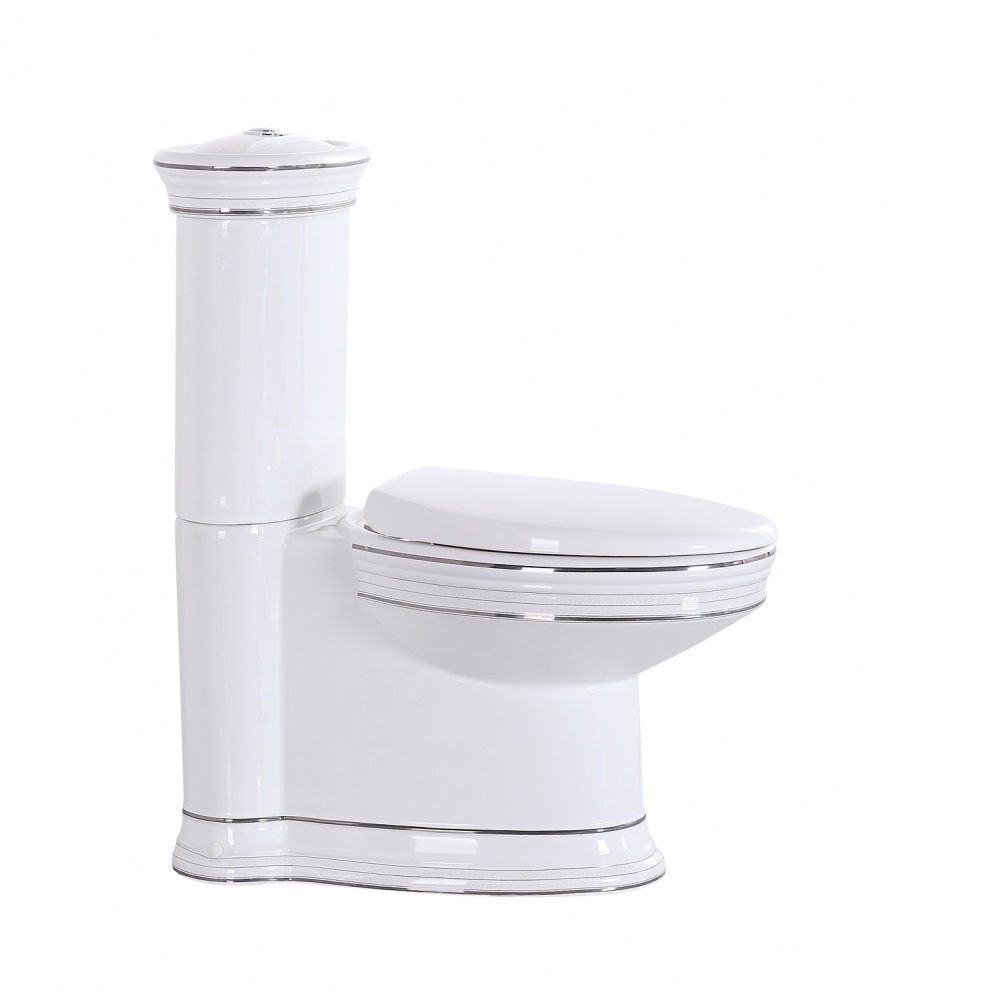 Classic lux. Унитаз Sanita Luxe Sanitary Ware. Каприго унитазы Армония. Sanita Luxe Classic DM бачок. Sanita Luxe Classic унитаз.