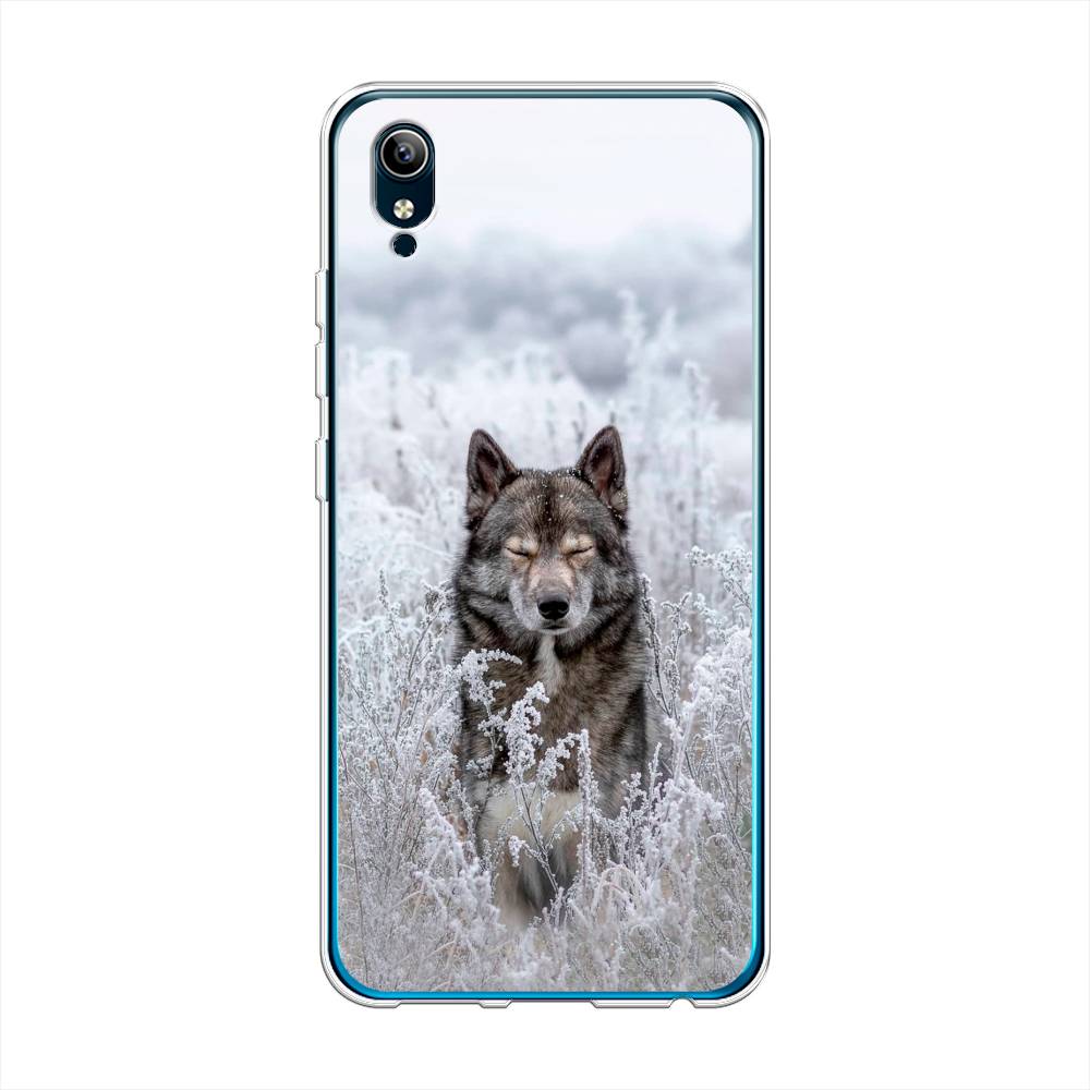

Чехол Awog на Vivo Y91c "Волк в поле", Разноцветный, 262850-1