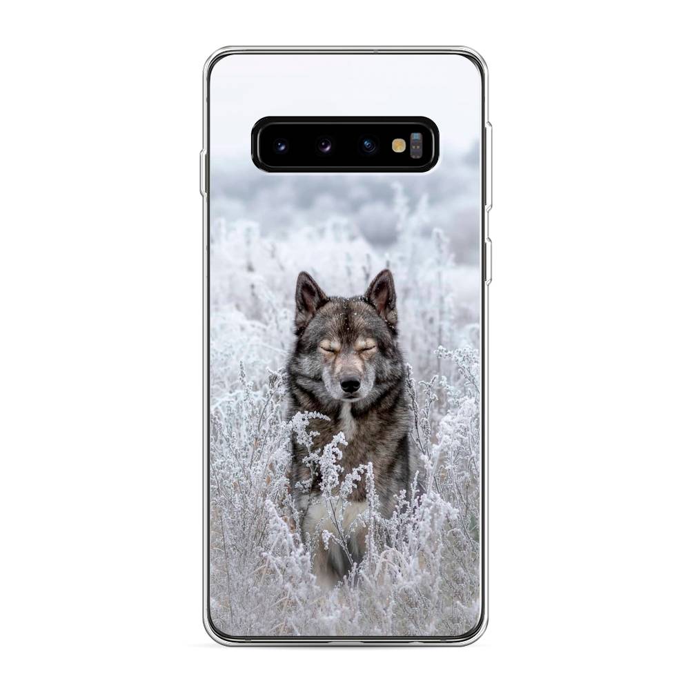 

Чехол Awog на Samsung Galaxy S10 "Волк в поле", Разноцветный, 27050-1