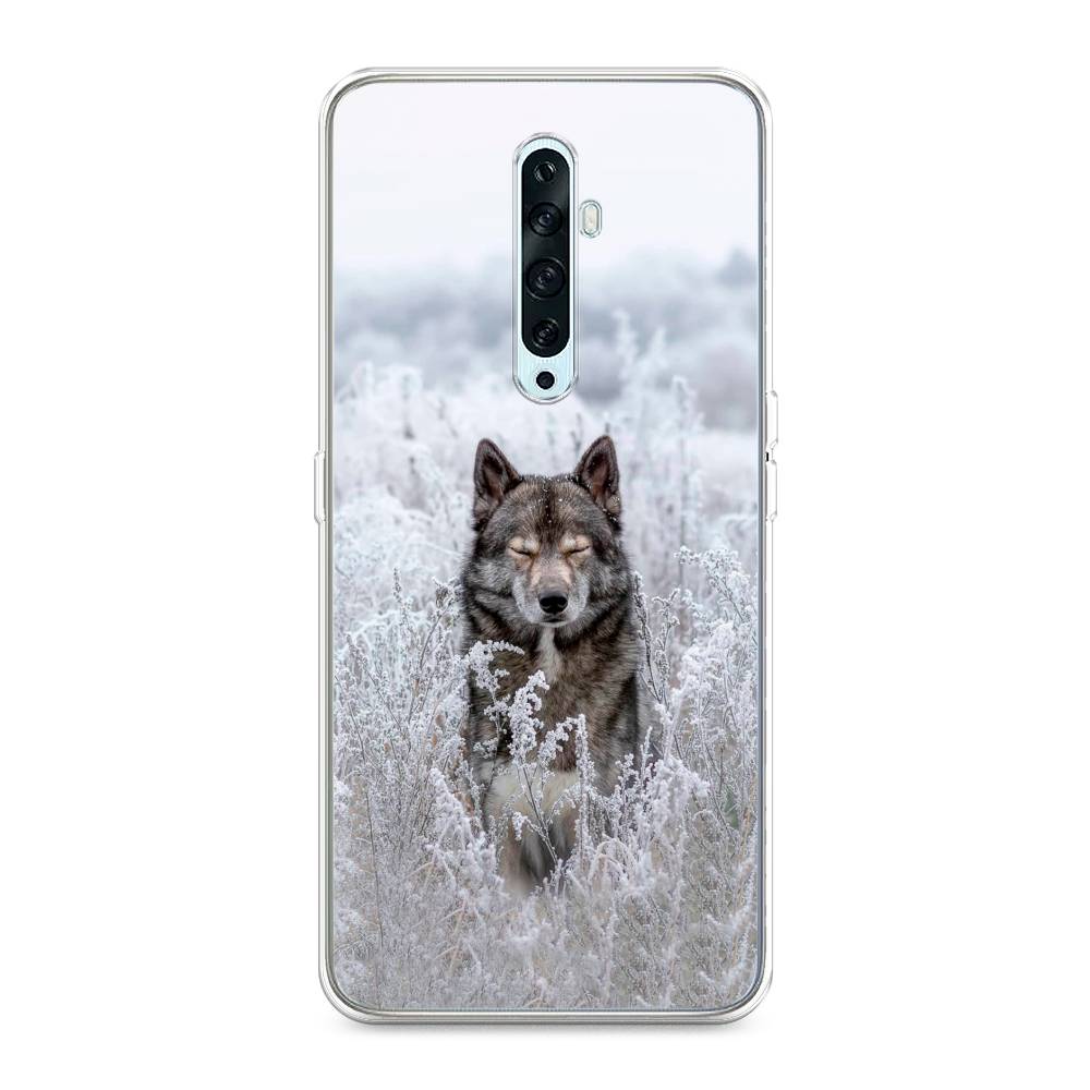 

Чехол Awog на Oppo Reno 2Z "Волк в поле", Разноцветный, 251850-1