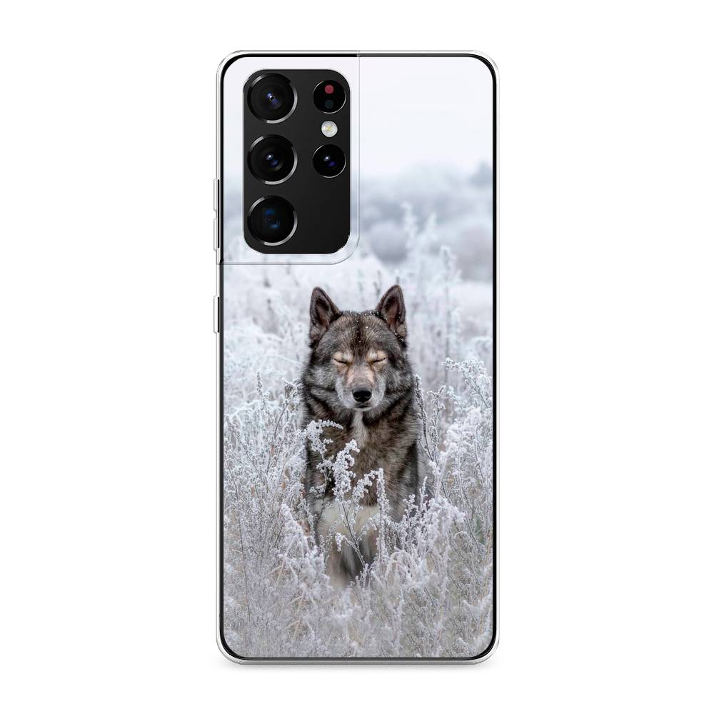 

Чехол Awog на Samsung Galaxy S21 Ultra / Самсунг S21 Ultra "Волк в поле", Разноцветный, 2102250-1
