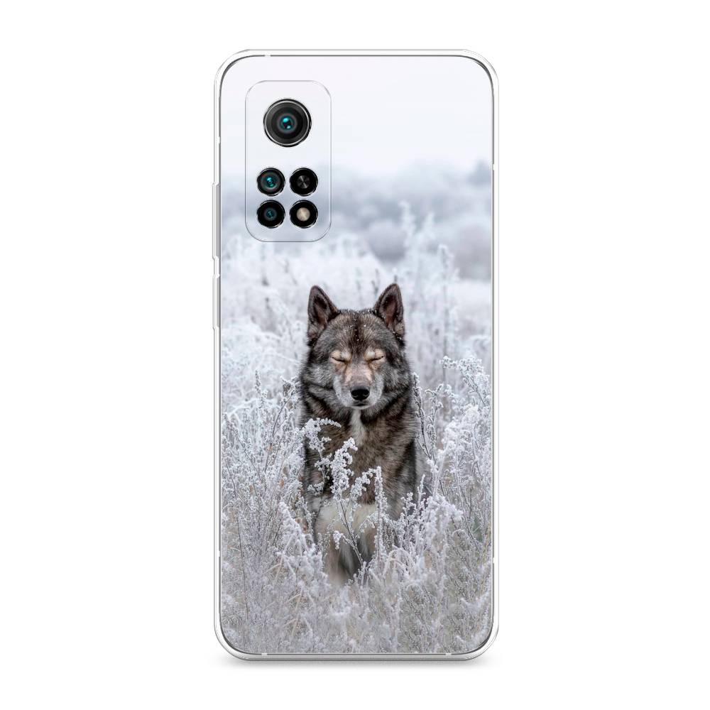 

Чехол Awog на Xiaomi Mi 10T Pro "Волк в поле", Разноцветный, 37750-1