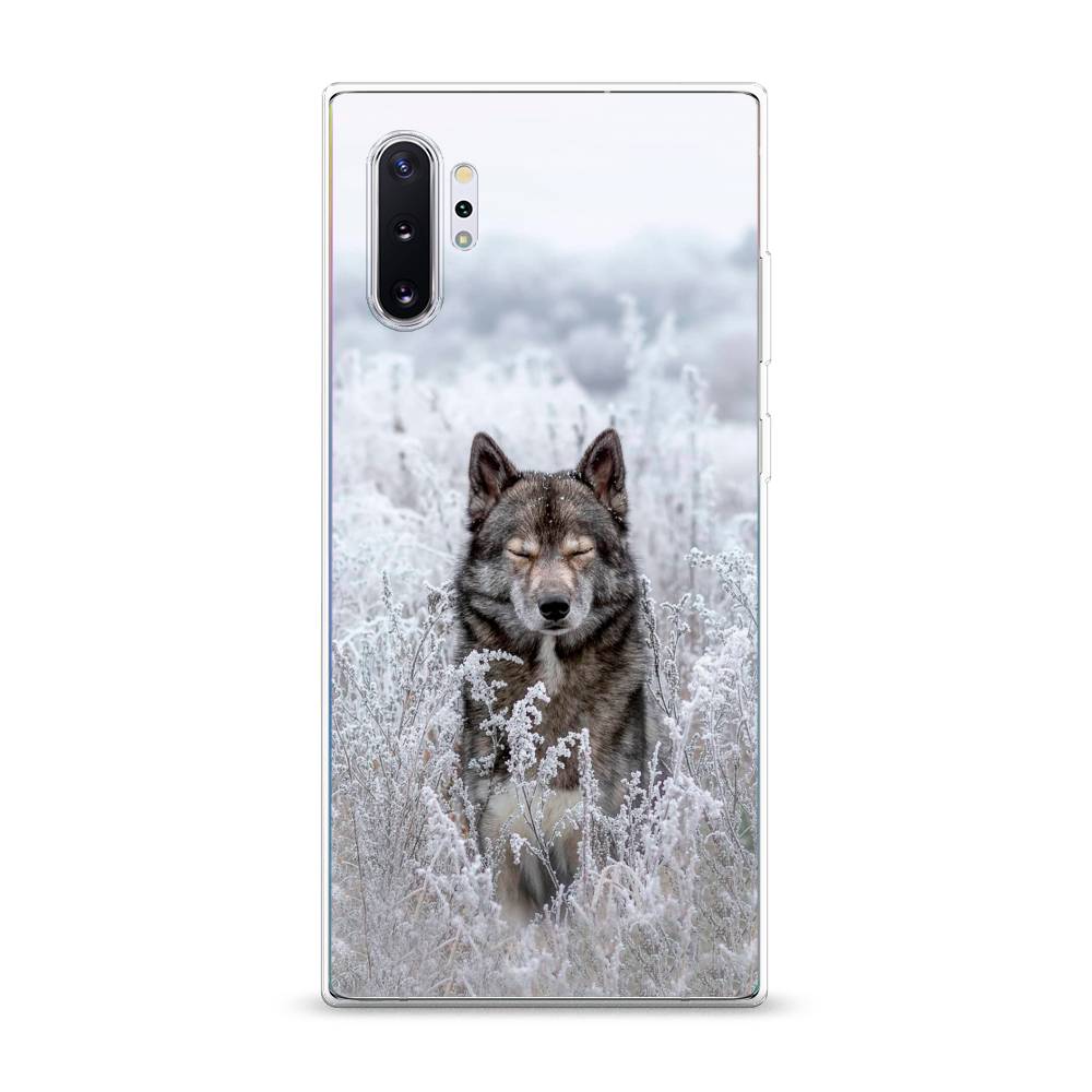 

Чехол Awog на Samsung Galaxy Note 10 + "Волк в поле", Разноцветный, 28550-1