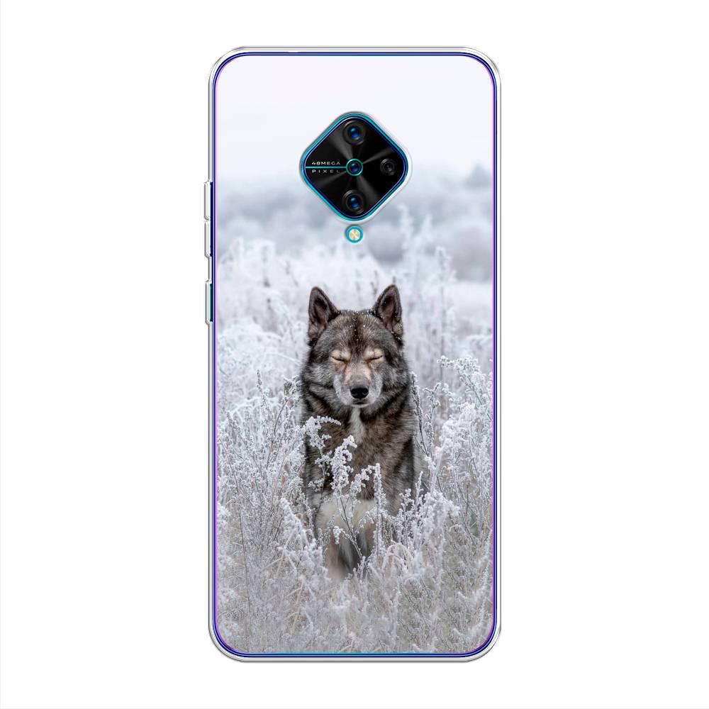 

Чехол Awog на Vivo V17 "Волк в поле", Разноцветный, 261550-1