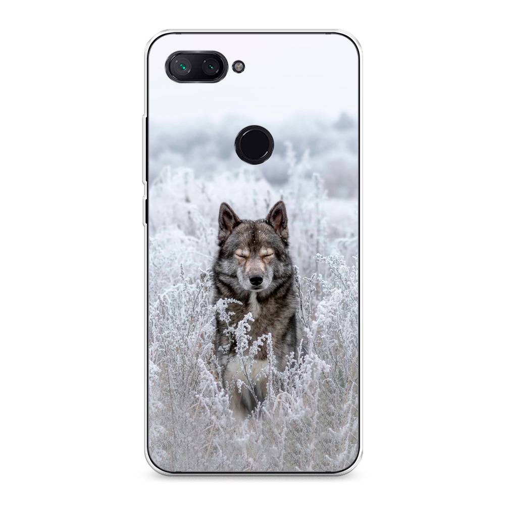 

Чехол Awog на Xiaomi Mi 8 Lite (Youth Edition) "Волк в поле", Разноцветный, 34550-1