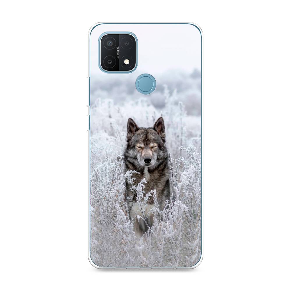 

Чехол Awog на Oppo A15 "Волк в поле", Разноцветный, 254750-1