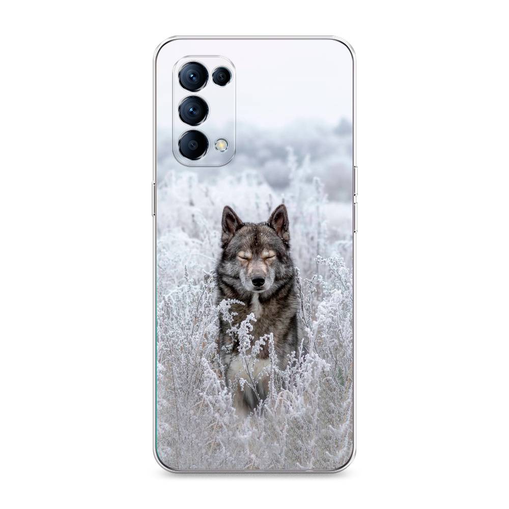 Чехол Awog  на Oppo Reno 5 