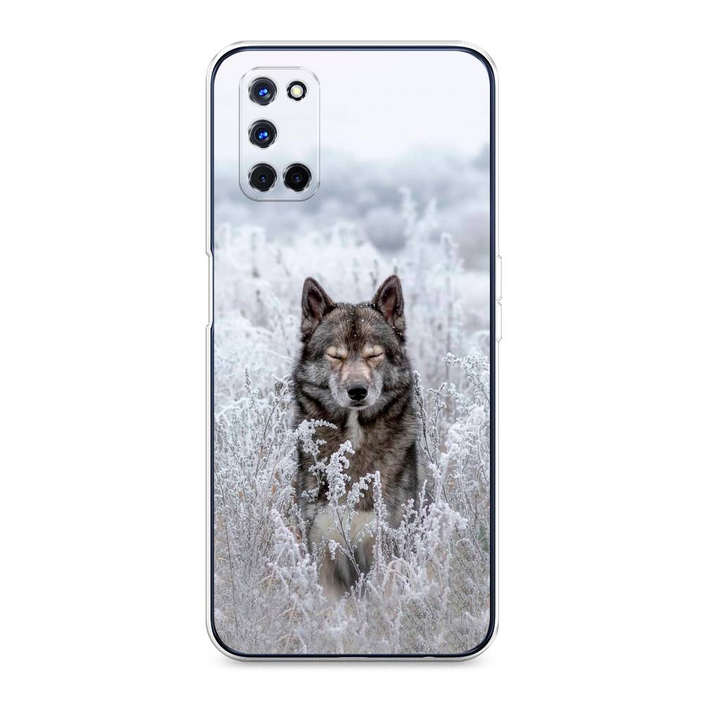 

Чехол Awog на Oppo A52 "Волк в поле", Разноцветный, 253150-1