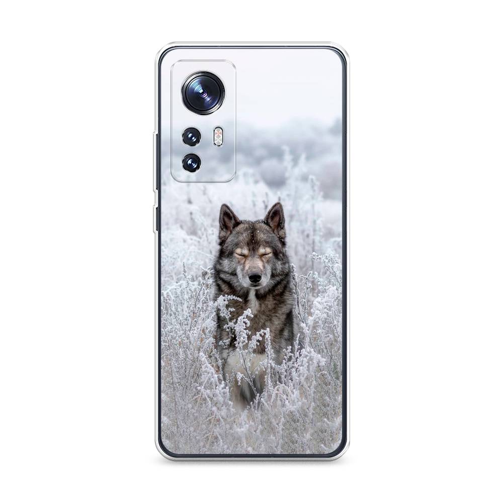

Чехол Awog на Xiaomi 12X "Волк в поле", Разноцветный, 312950-1