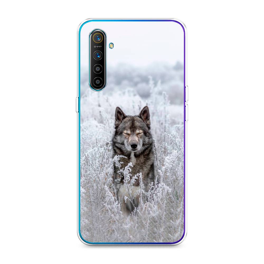 

Чехол Awog на Realme XT "Волк в поле", Разноцветный, 251450-1