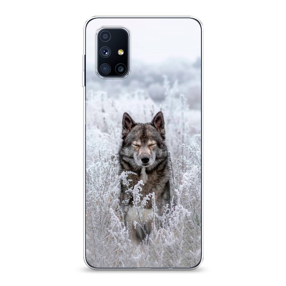 

Чехол Awog на Samsung Galaxy M51 / Самсунг M51 "Волк в поле", Разноцветный, 2101550-1