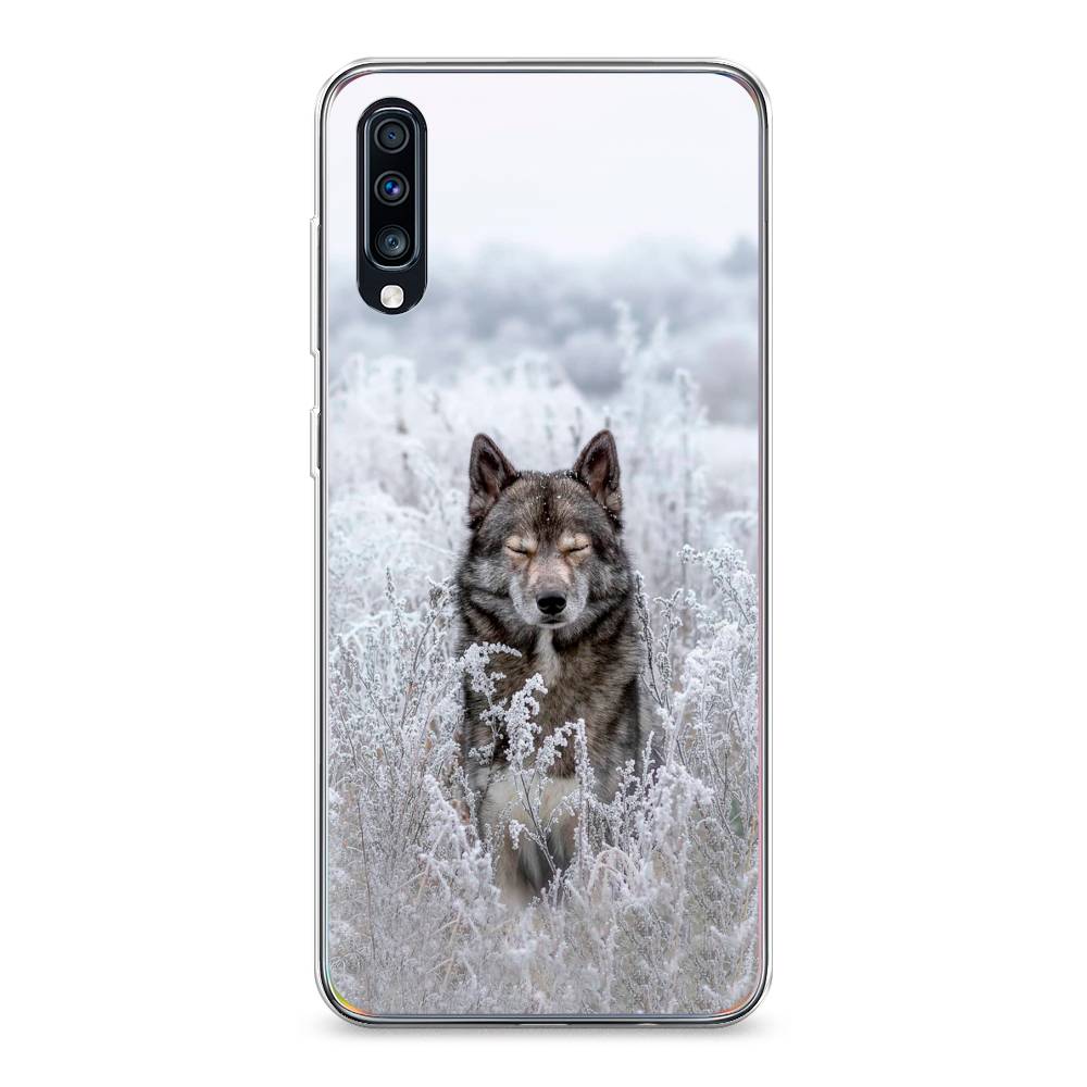 

Чехол Awog на Samsung Galaxy A70 "Волк в поле", Разноцветный, 28150-1