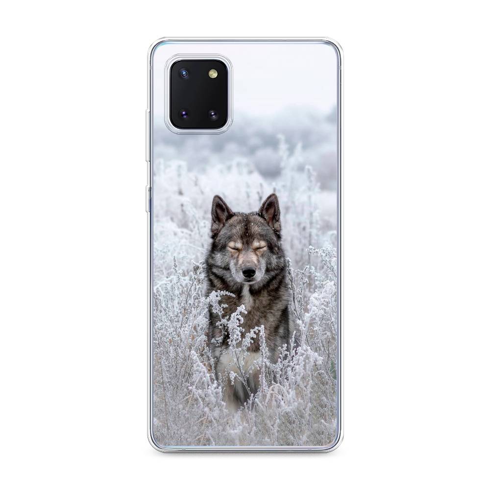 

Чехол Awog на Samsung Galaxy Note 10 Lite "Волк в поле", Разноцветный, 29150-1