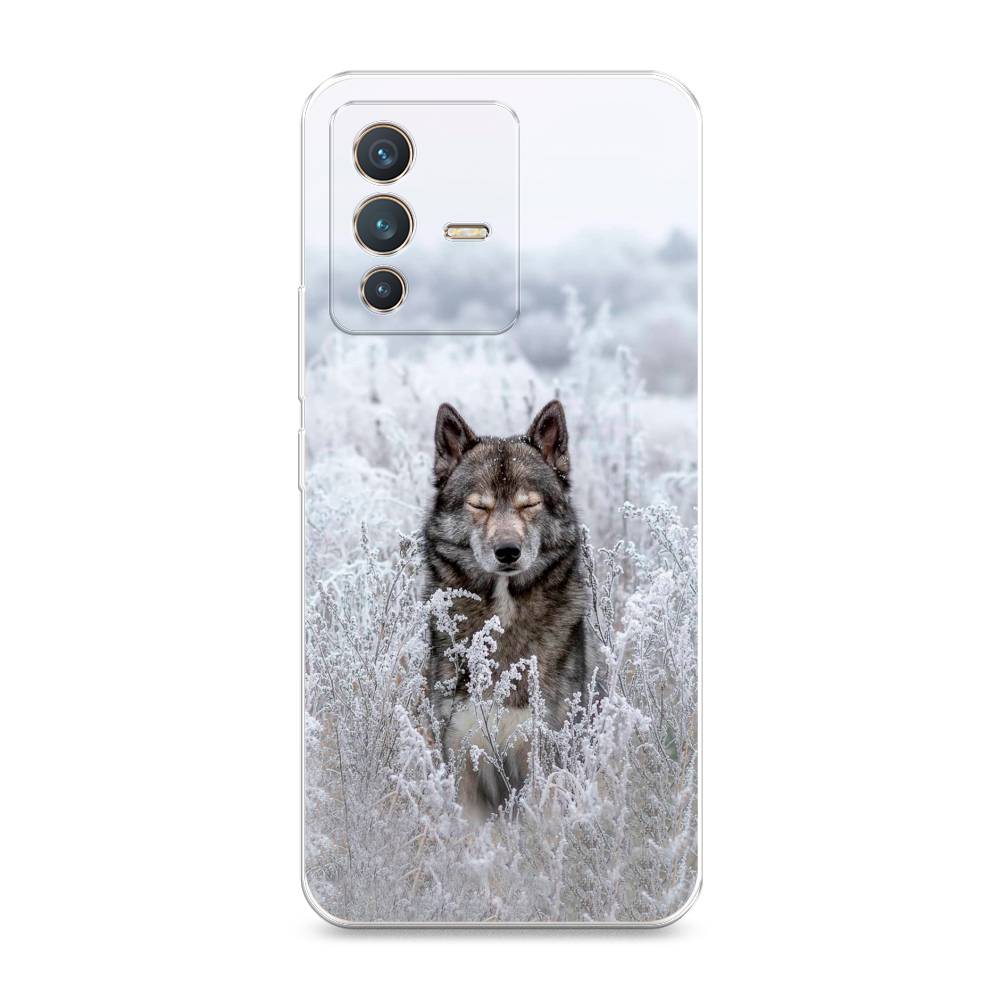 

Чехол Awog на Vivo V23 "Волк в поле", Разноцветный, 266050-1