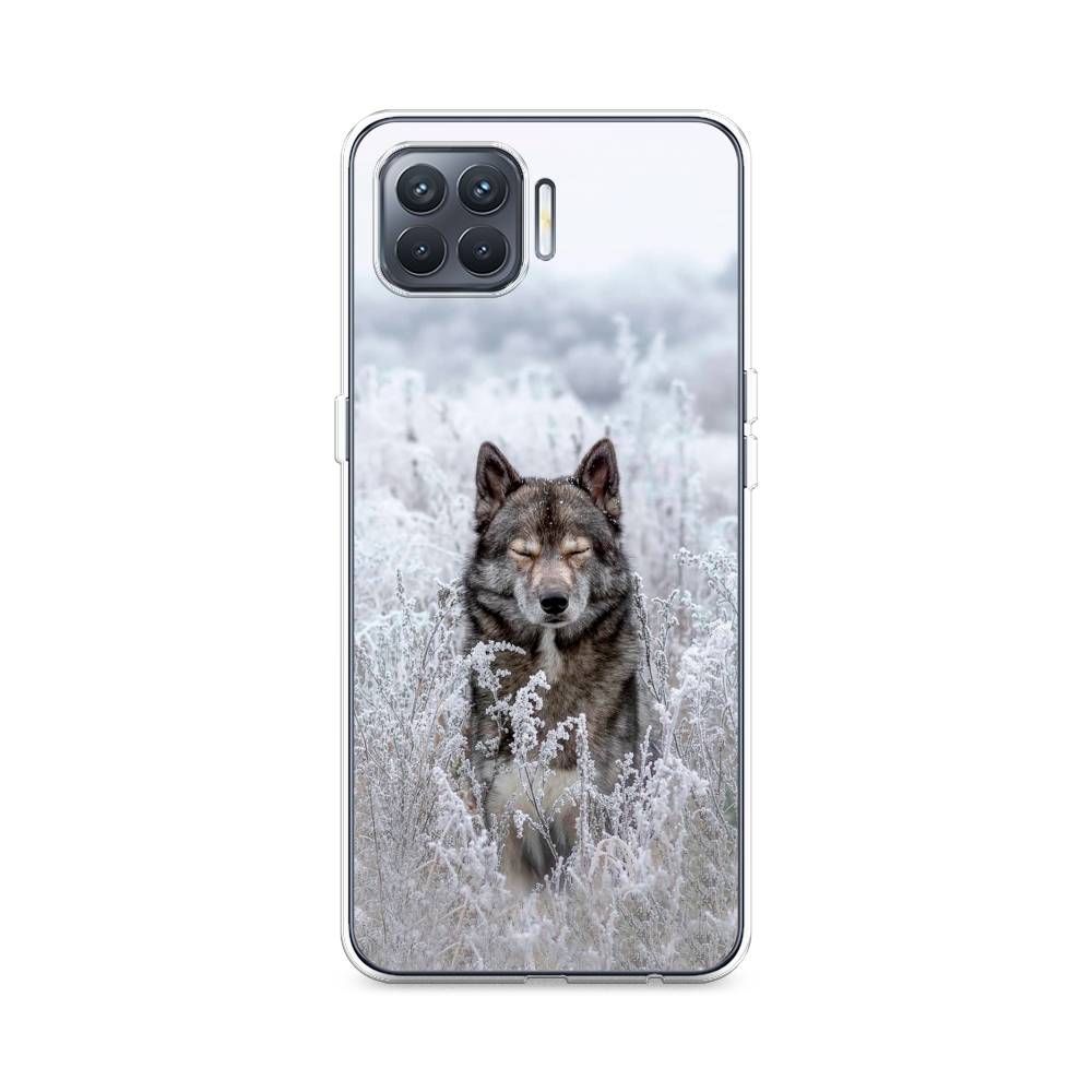

Чехол Awog на Oppo Reno 4 lite "Волк в поле", Разноцветный, 254550-1
