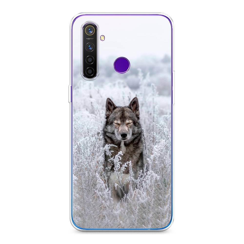 

Чехол Awog на Realme 5 Pro "Волк в поле", Разноцветный, 251650-1