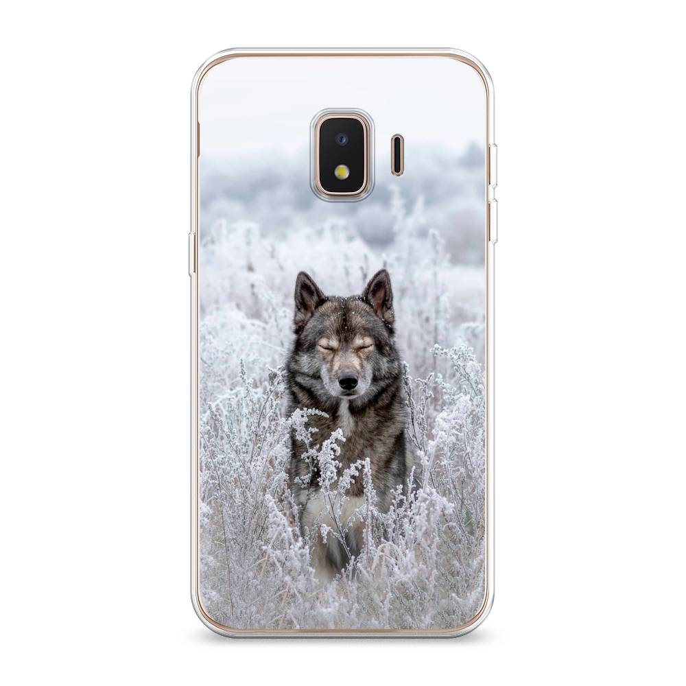 

Чехол Awog на Samsung Galaxy J2 Core (2018/2020) / Самсунг J2 Core "Волк в поле", Разноцветный, 2100550-1