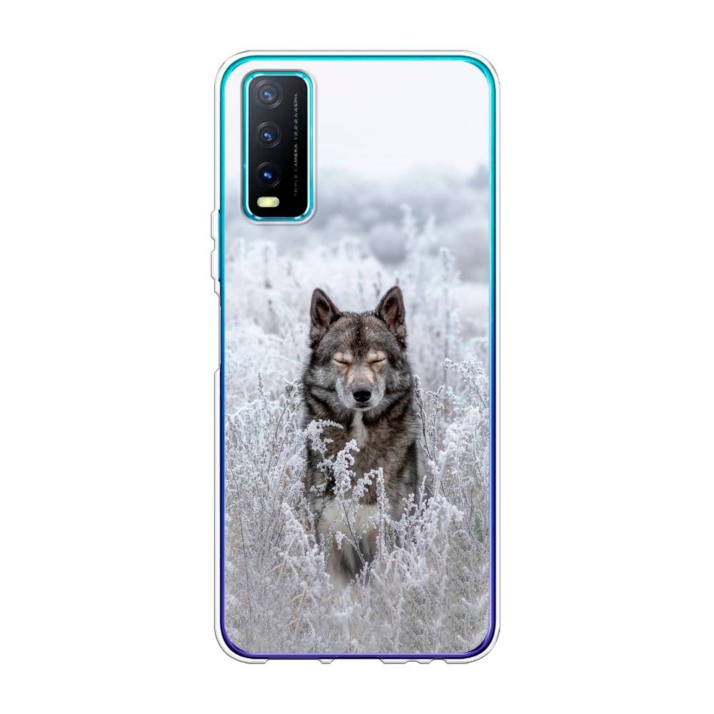 

Чехол Awog на Vivo Y20 "Волк в поле", Разноцветный, 263650-1