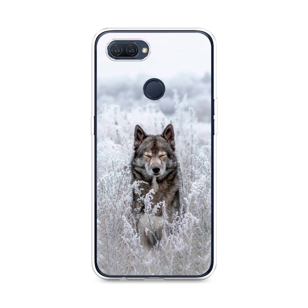 

Чехол Awog на Oppo A12 "Волк в поле", Разноцветный, 253450-1