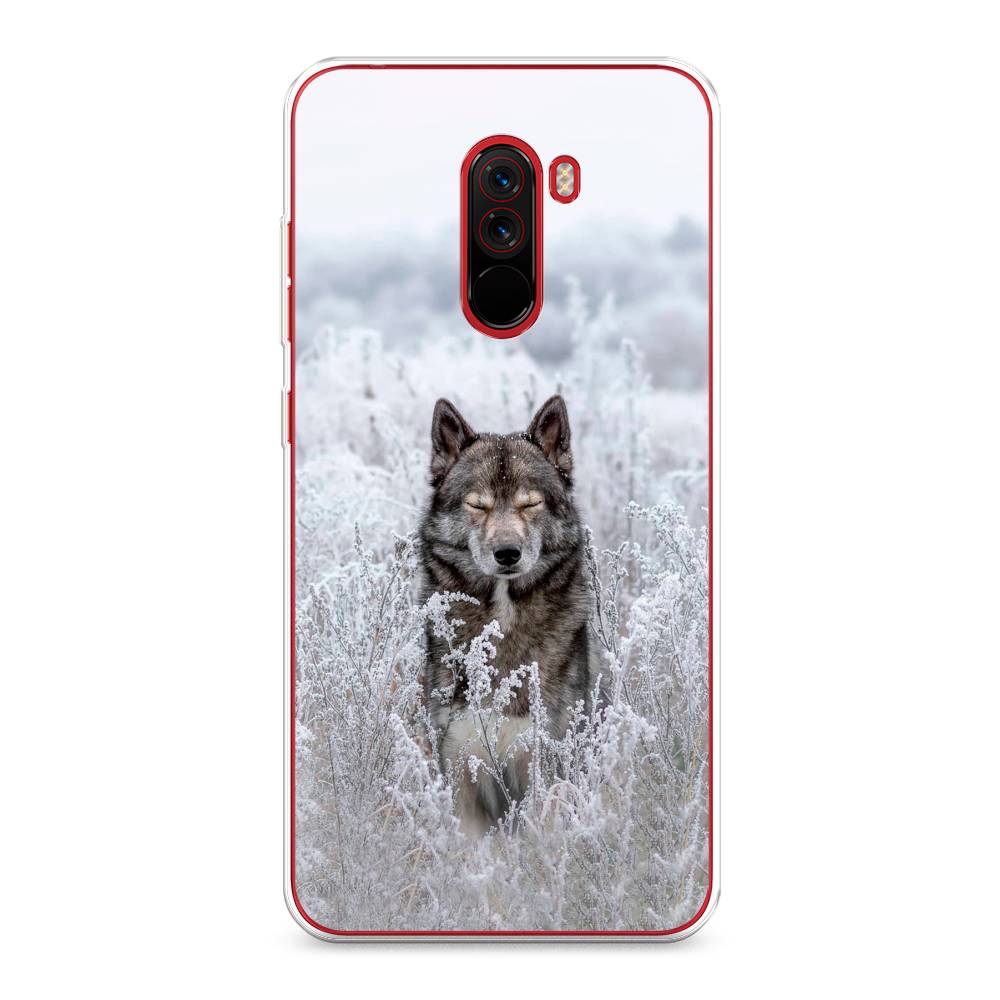 

Чехол Awog на Xiaomi Pocophone F1 "Волк в поле", Разноцветный, 34450-1