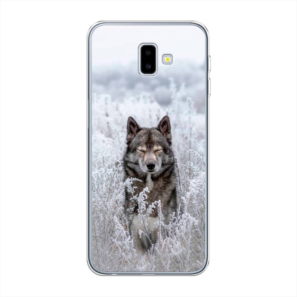 

Чехол Awog на Samsung Galaxy J6 + "Волк в поле", Разноцветный, 26950-1