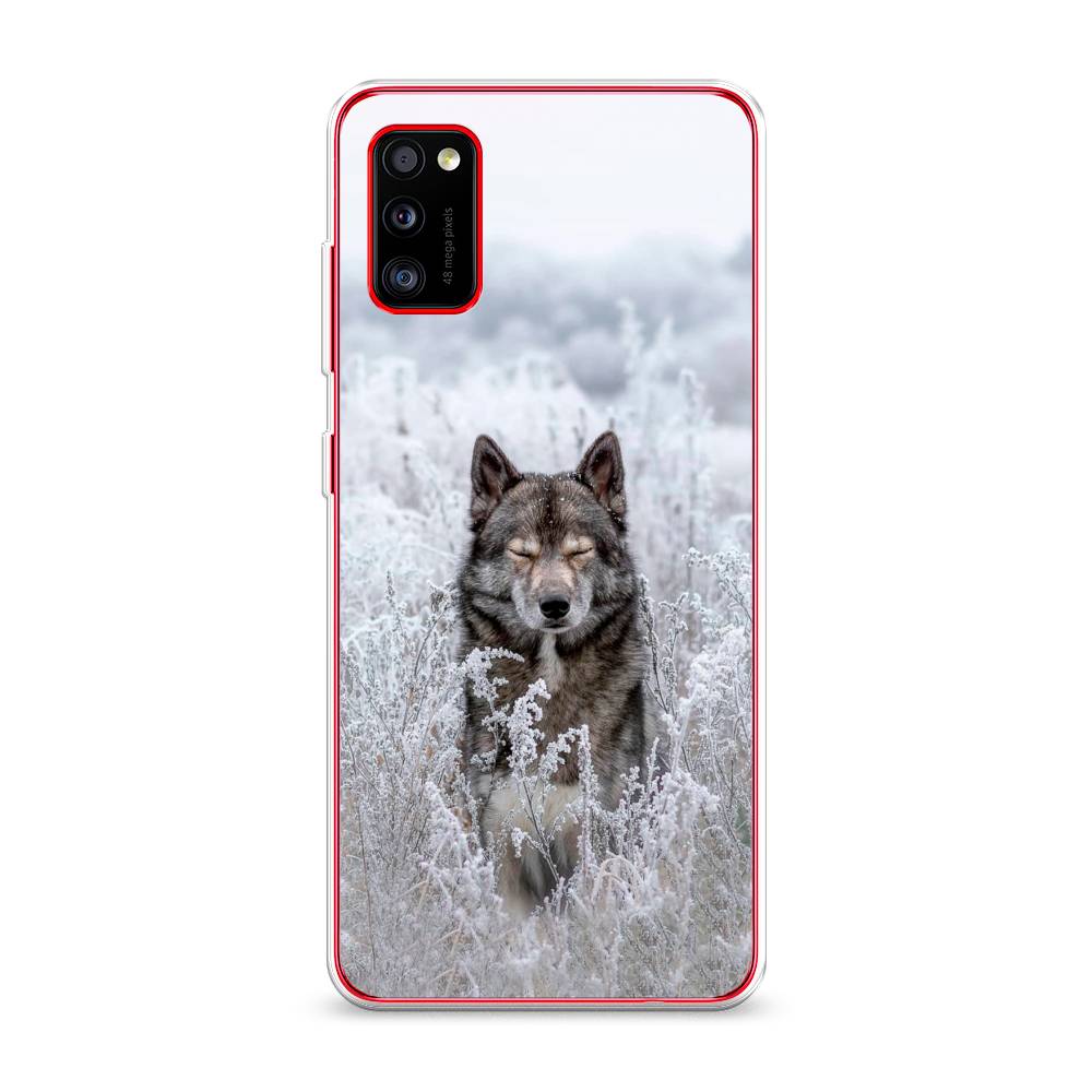 

Чехол Awog на Samsung Galaxy A41 / Самсунг A41 "Волк в поле", Разноцветный, 2100450-1