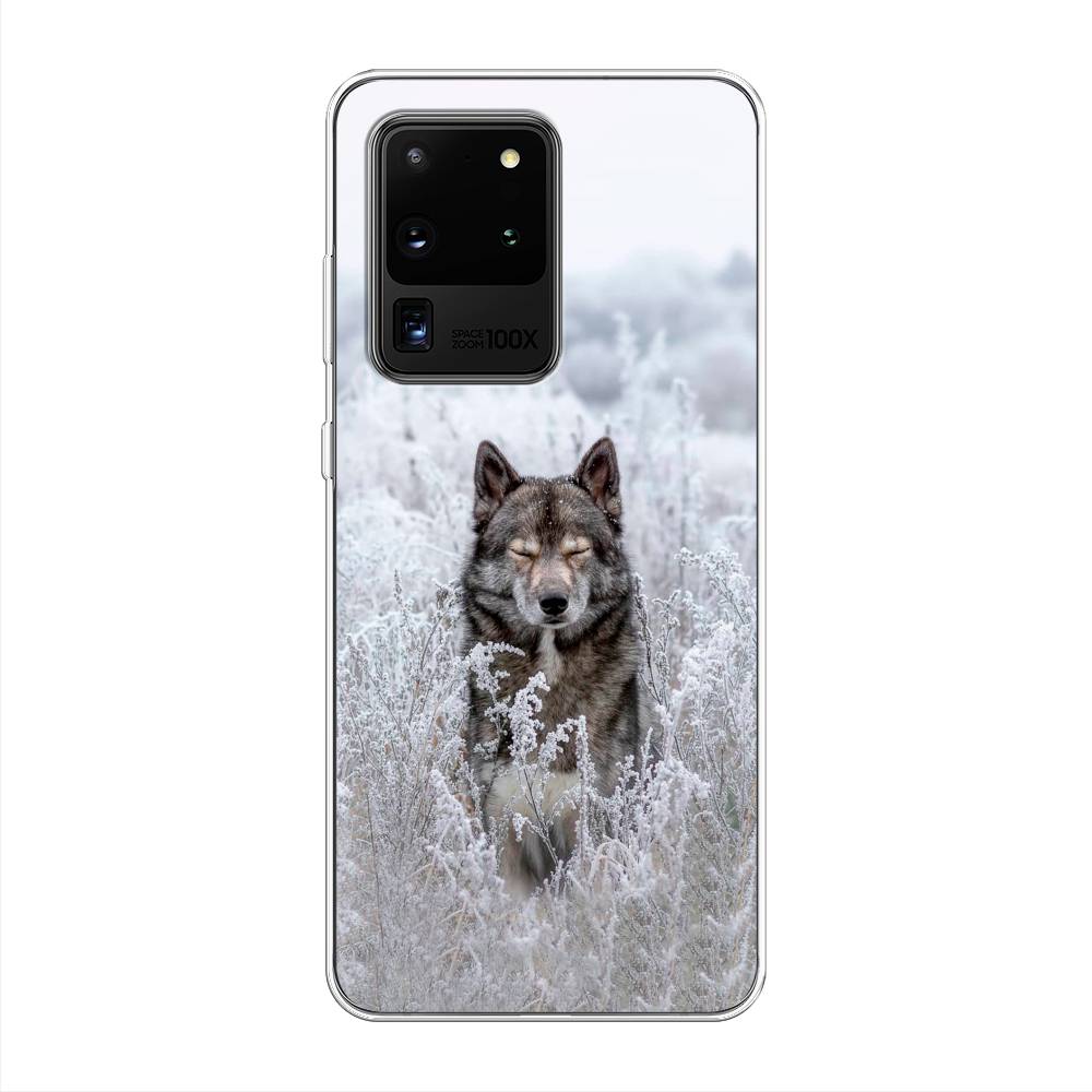

Чехол Awog на Samsung Galaxy S20 Ultra "Волк в поле", Разноцветный, 29450-1