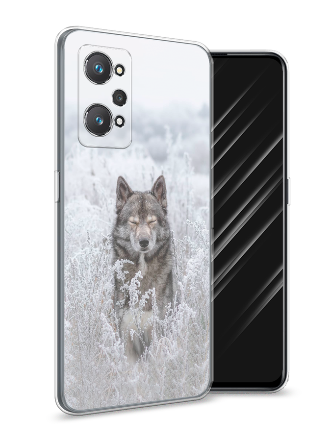 

Чехол Awog на Realme GT Neo 2 "Волк в поле", Разноцветный, 257750-1