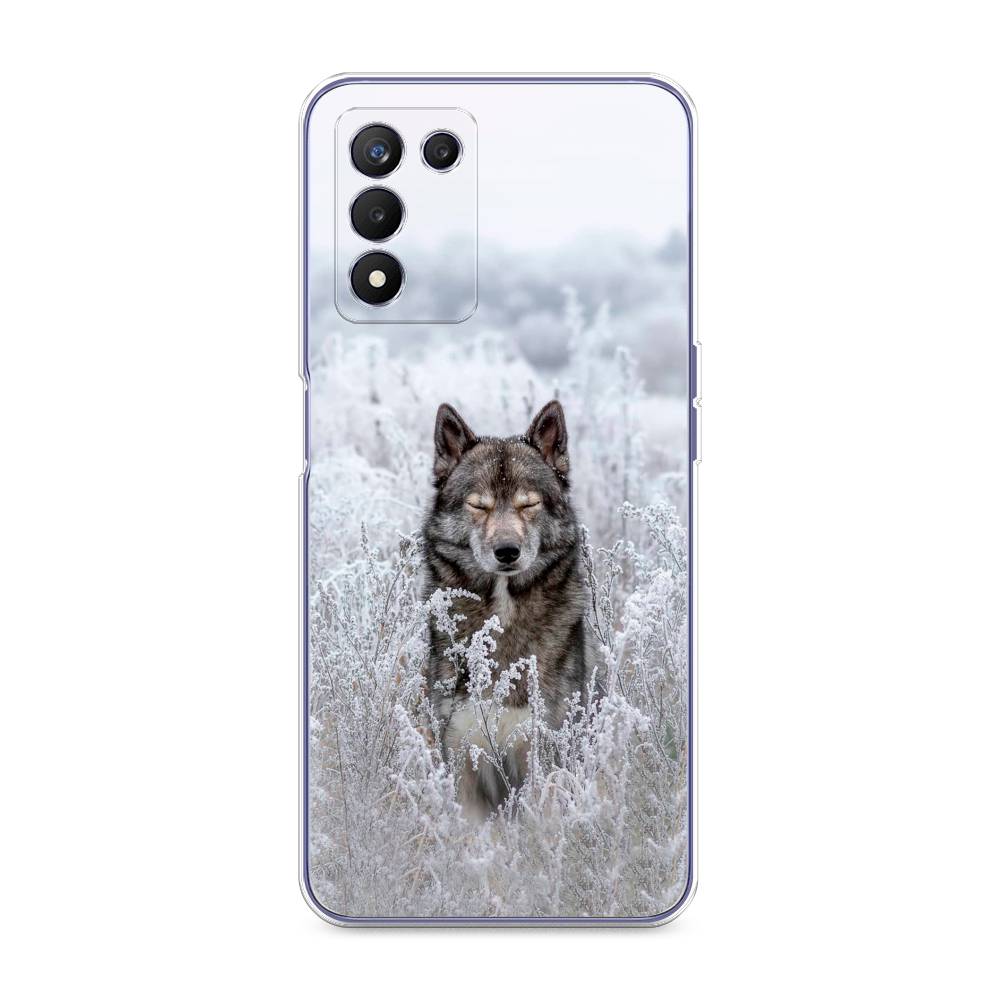 

Чехол Awog на Realme Q3s "Волк в поле", Разноцветный, 257950-1