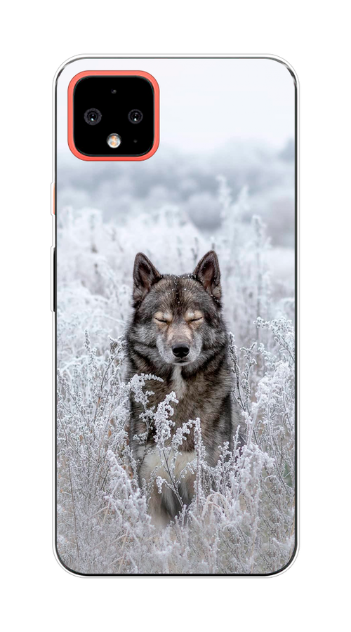 

Чехол Awog на Google Pixel 4 XL "Волк в поле", Разноцветный, 270550-1