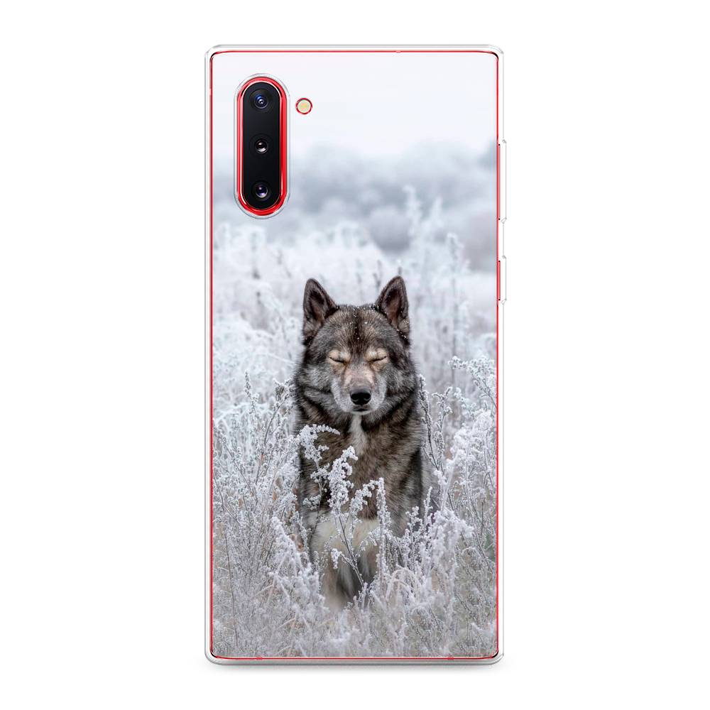 

Чехол Awog на Samsung Galaxy Note 10 "Волк в поле", Разноцветный, 28650-1