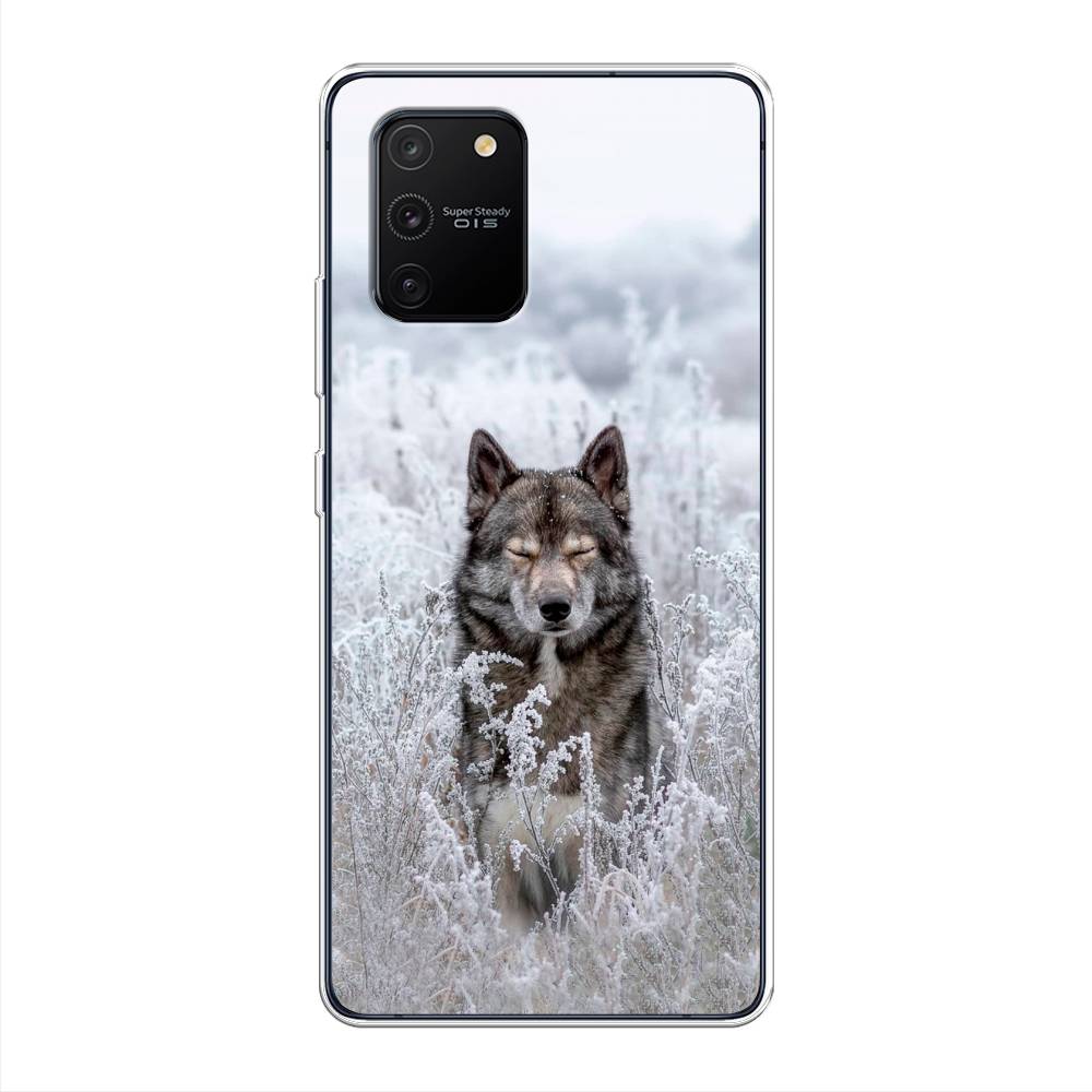 

Чехол Awog на Samsung Galaxy S10 Lite / Самсунг S10 Lite "Волк в поле", Разноцветный, 210050-1